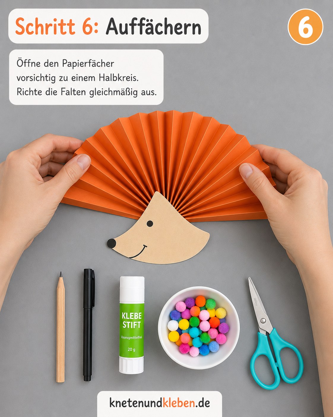 Der Papierfächer wird vorsichtig zu einem gleichmäßigen Halbkreis aufgefächert