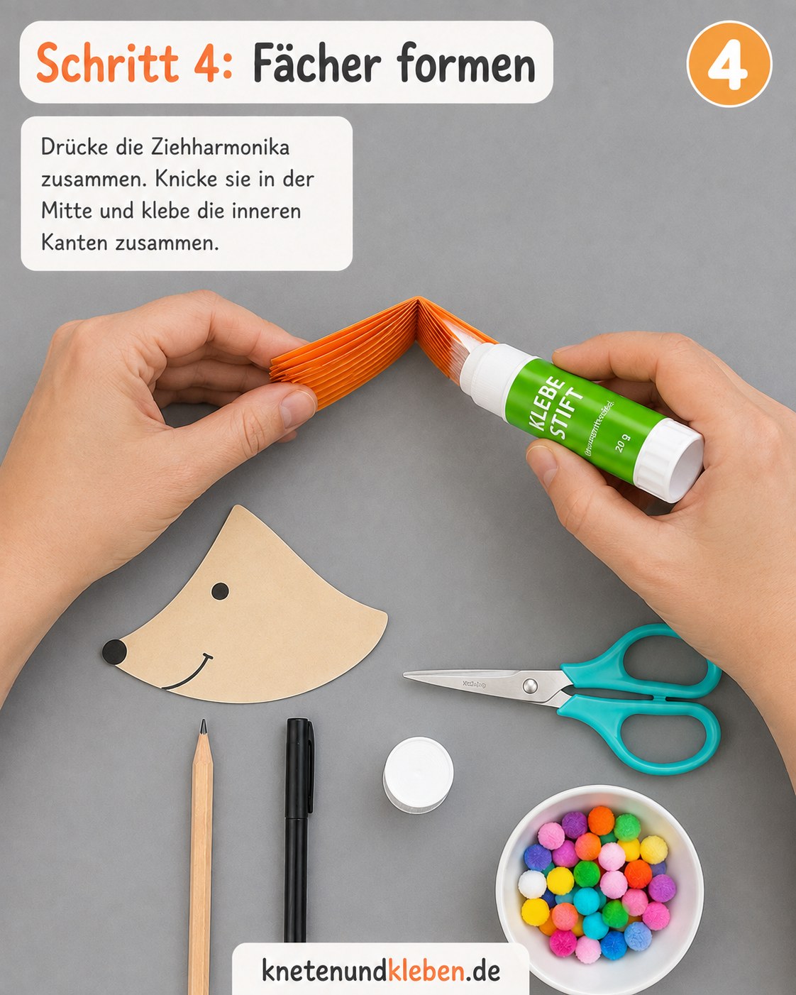 Die gefaltete Ziehharmonika wird in der Mitte geknickt und die inneren Kanten zusammengeklebt