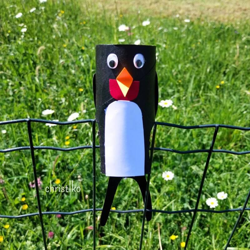 Klopapierrolle als Schwalbenkörper