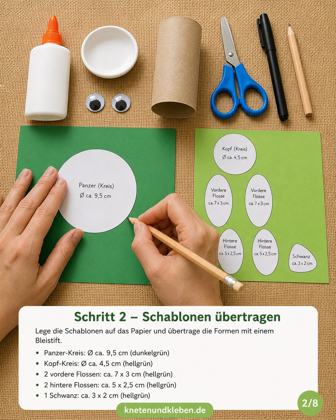 Schablonen für die Schildkröte werden mit Bleistift auf grünes Tonpapier übertragen