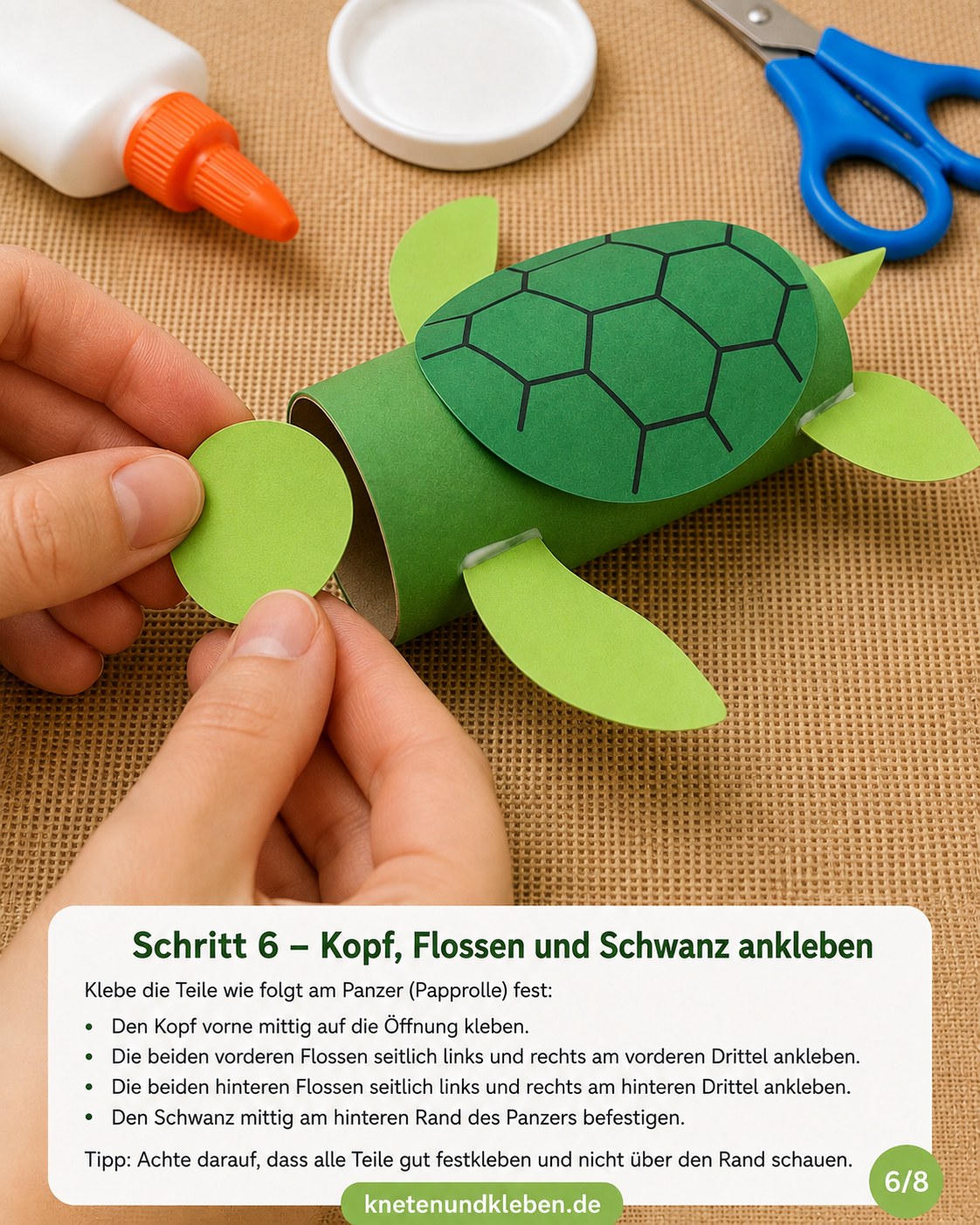 Kopf, Flossen und Schwanz werden an der beklebten Klopapierrolle festgeklebt